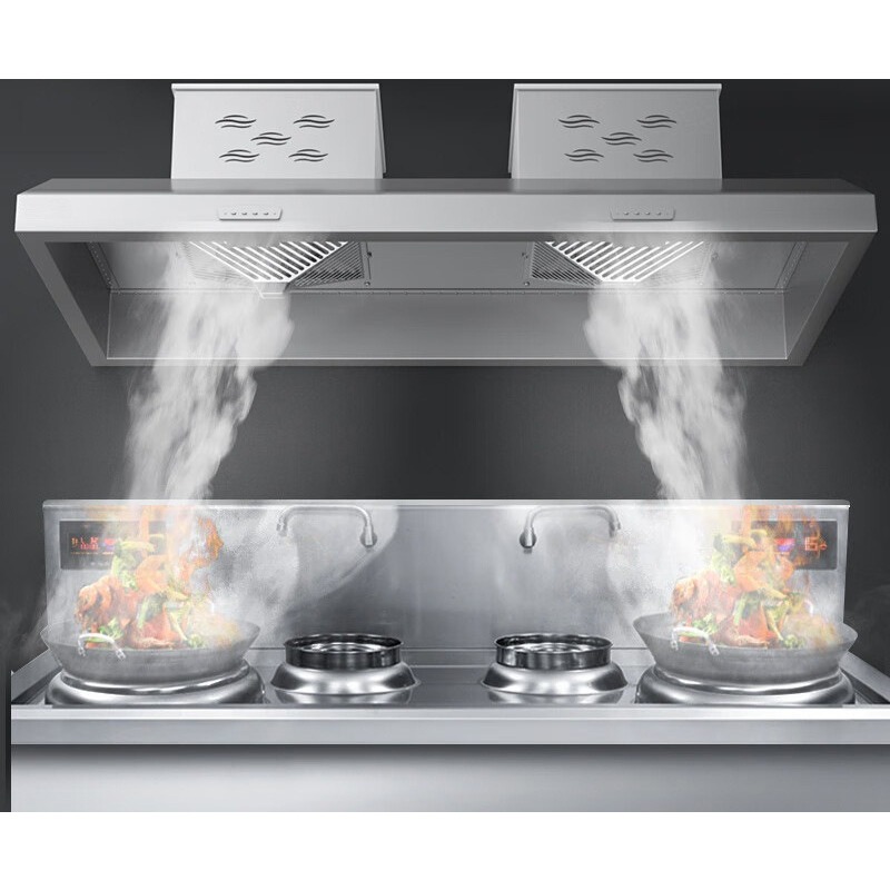 Commercial Exhaust Hood - Hotte aspirante commerciale avec purificateur de